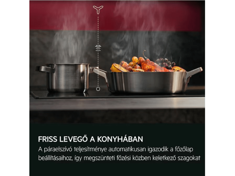 AEG DGE5661HM Rejtett páraelszívó