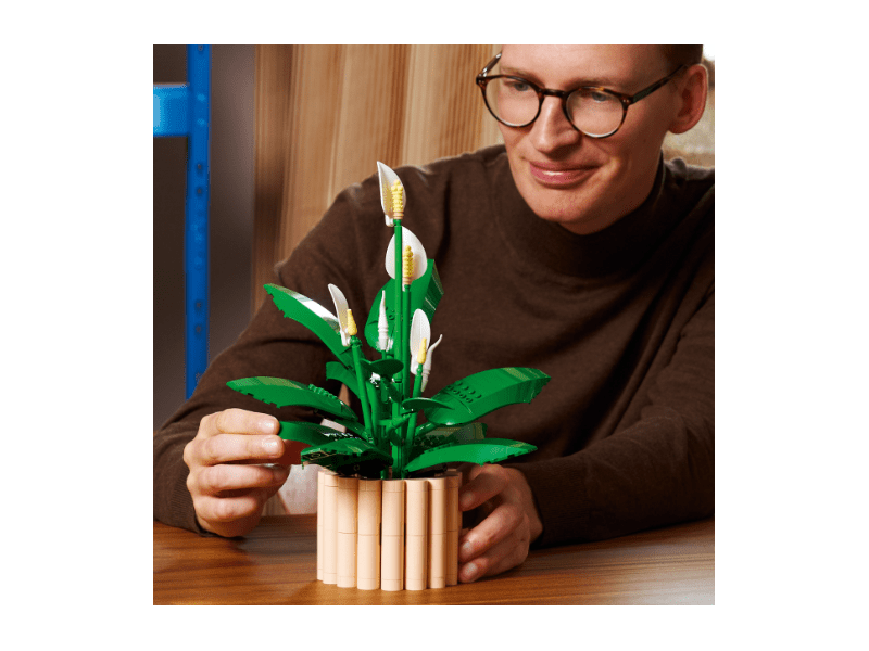 LEGO® Botanicals Vitorlavirág (11504)