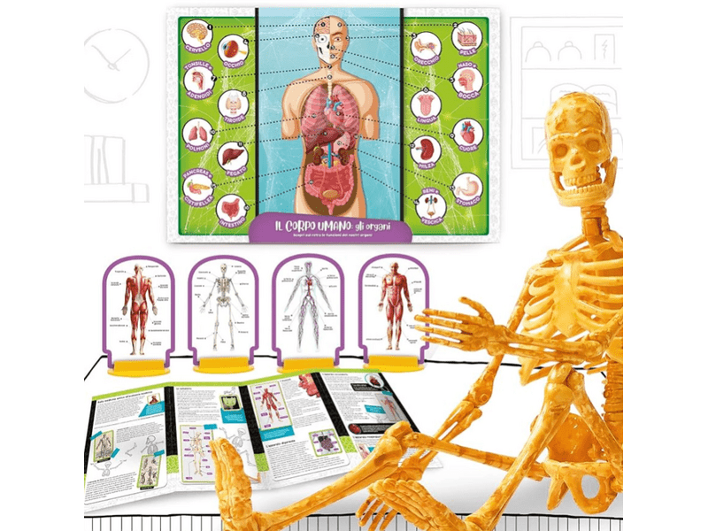 Zseni vagyok - Fedezd fel az emberi testet! (100224)