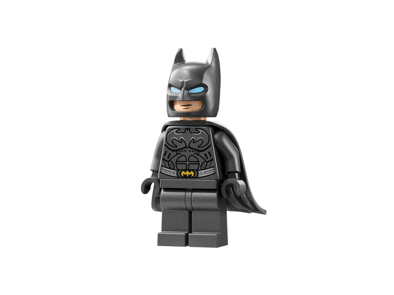 LEGO 76304