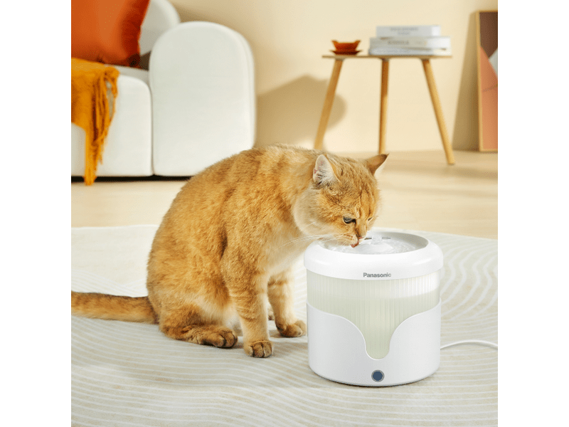 Panasonic CP-JNW01CW intelligens kisállat itató