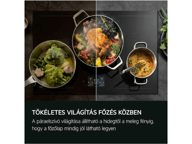 AEG GDP869PB Teleszkópos páraelszívó