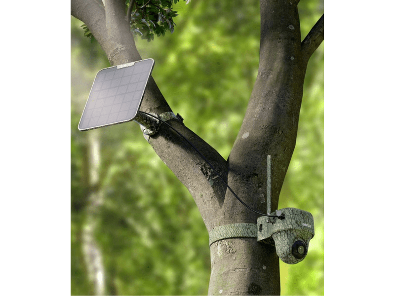 Reolink G450-4GB-SP-C Go Ranger PT + Solar Panel 2