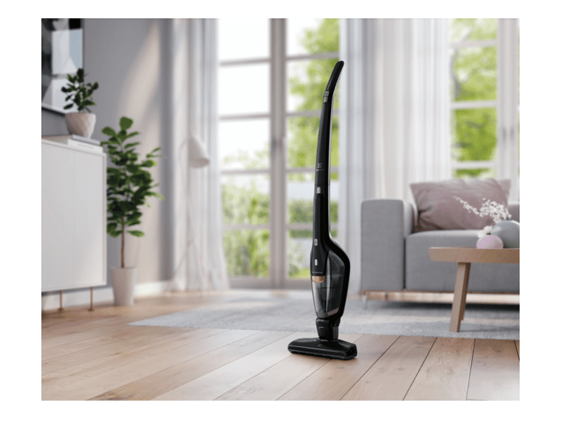 Electrolux Ergorapido Classic kézi porszívó, fekete (EERC73EB)