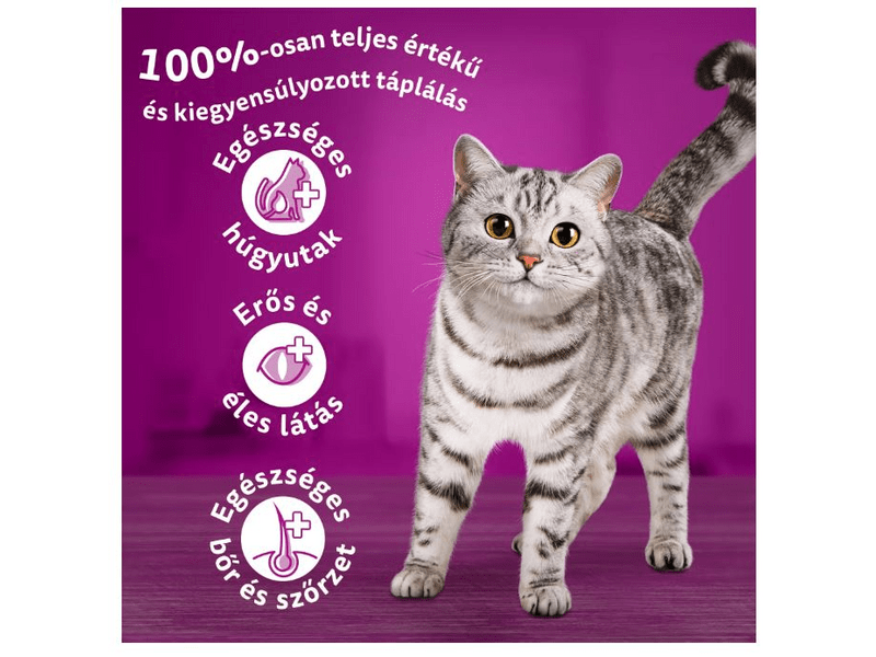 Whiskas Sterile száraz macskaeledel csirkével, 800g
