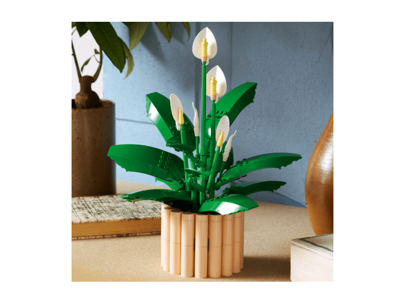 LEGO® Botanicals Vitorlavirág (11504)