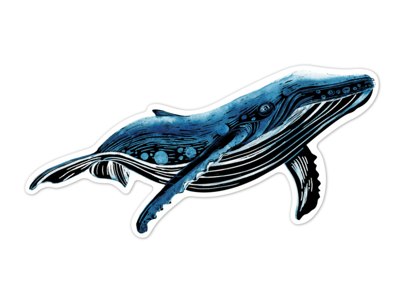 Avenir naljepnice za rezbarenje, morska stvorenja (CH232077)