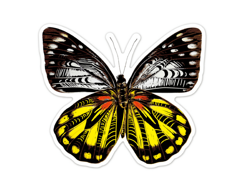 Avenir naljepnice za rezbarenje, leptiri (CH232076)