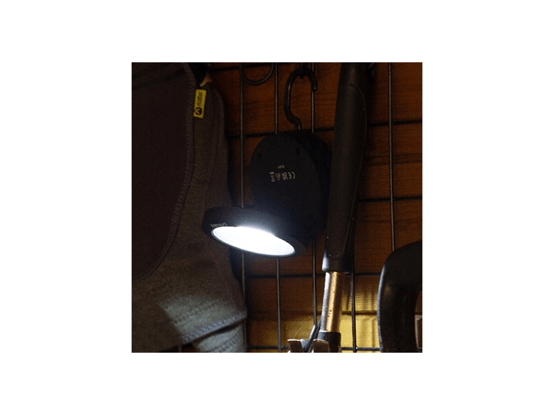 Nebo Angle Light Lámpa (NEB-7007-G)