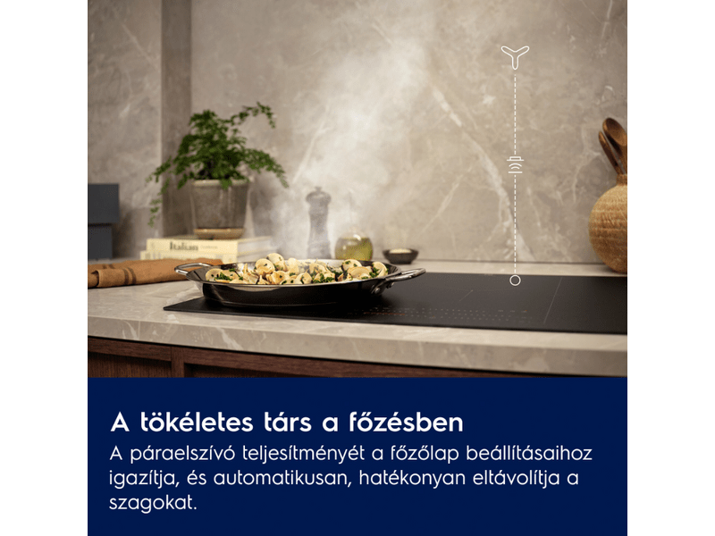 Electrolux LFV619Z Kürtős páraelszívó