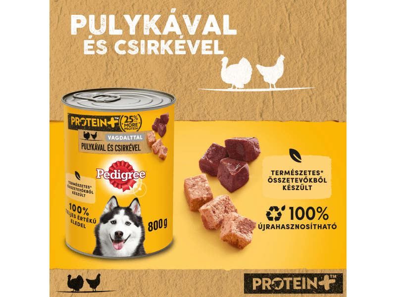 Pedigree kutya konzerv eledel pulykával és csirkével felnőtt kutyák számára, 800 g (437501)