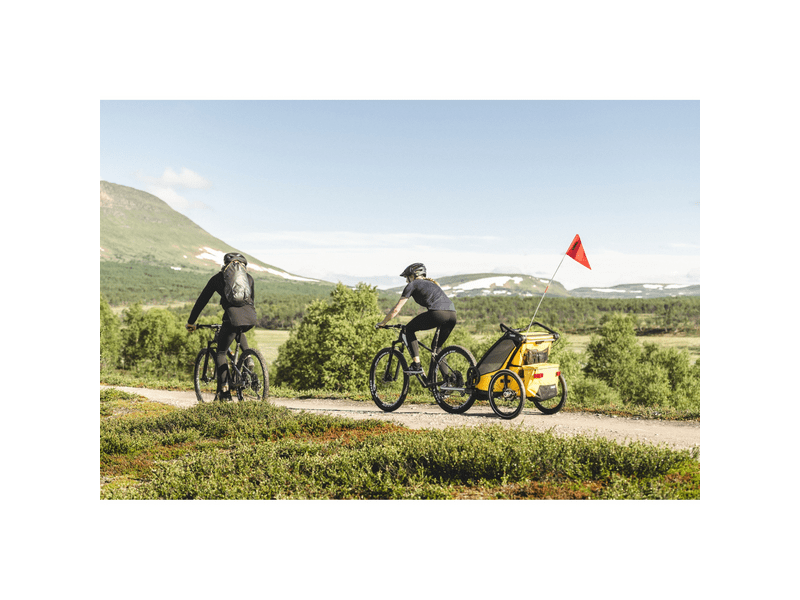 Thule Chariot Sport 1 Spectra Gyermekhordozó, sárga (10201022)