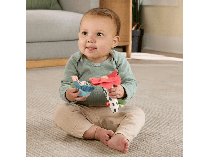 Fisher-Price: Planet Friends Zümi csörgő (HYR56)