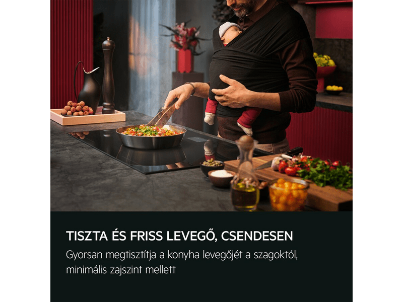 AEG GI87D91CB Sziget páraelszívó