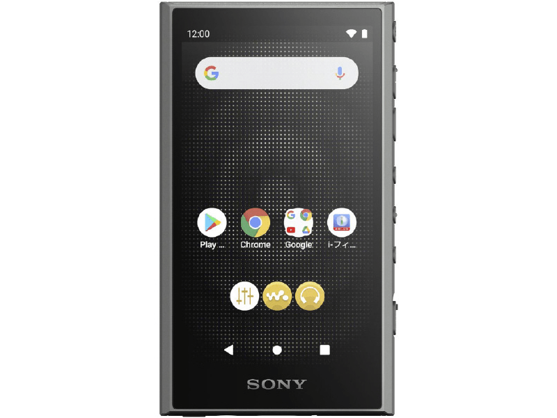 Sony NWA306H Hordozható audiolejátszó, szürke