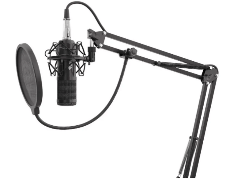 Genesis Radium stúdió mikrofon 300 XLR (NGM-1695)