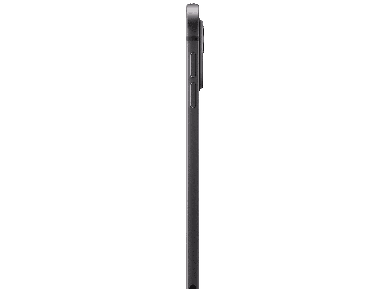 11 iPad Pro cell 256GBstand glss-SpaceBK