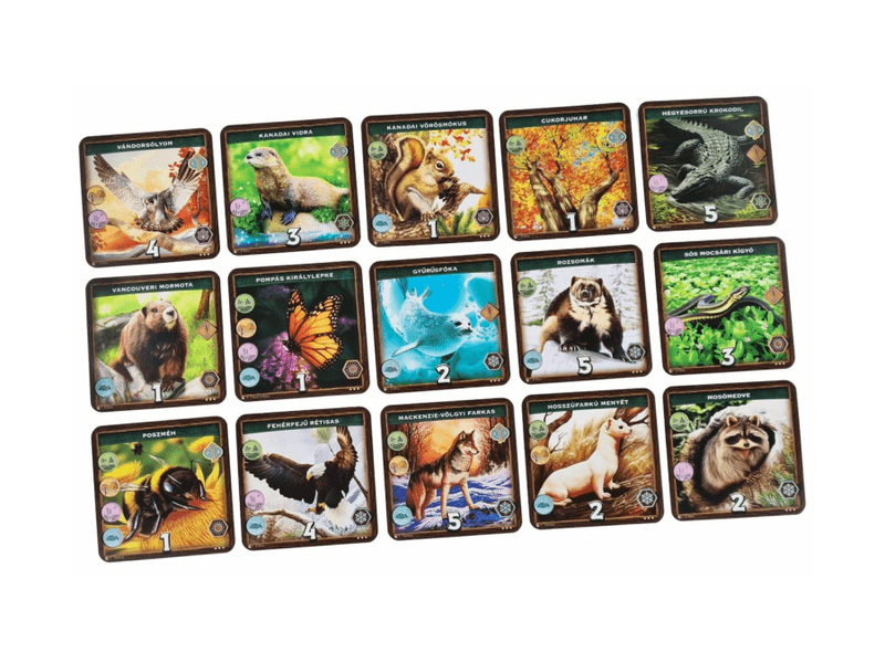 Irány a vadon! - Észak-Amerika társasjáték (RGE 10001)