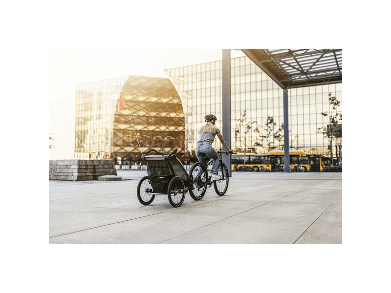 Thule Chariot Lite 1 Agave višenamjenska dječja torba za nošenje (10203021)