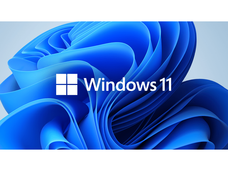 Asus ZenBook 14 UX435EA-K9239W Notebook, lila + Windows 11