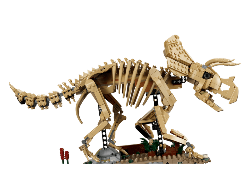 LEGO® Jurassic World Dinoszaurusz maradványok: Triceratops (77985)