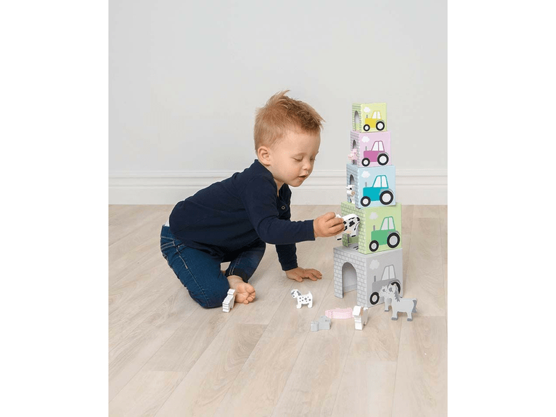 Toronyépítő kocka háziállatokkal (C2504)