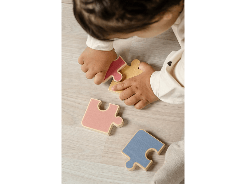 Montessori fejlesztő játékcsomag 18-24 hónapos babáknak (T293)