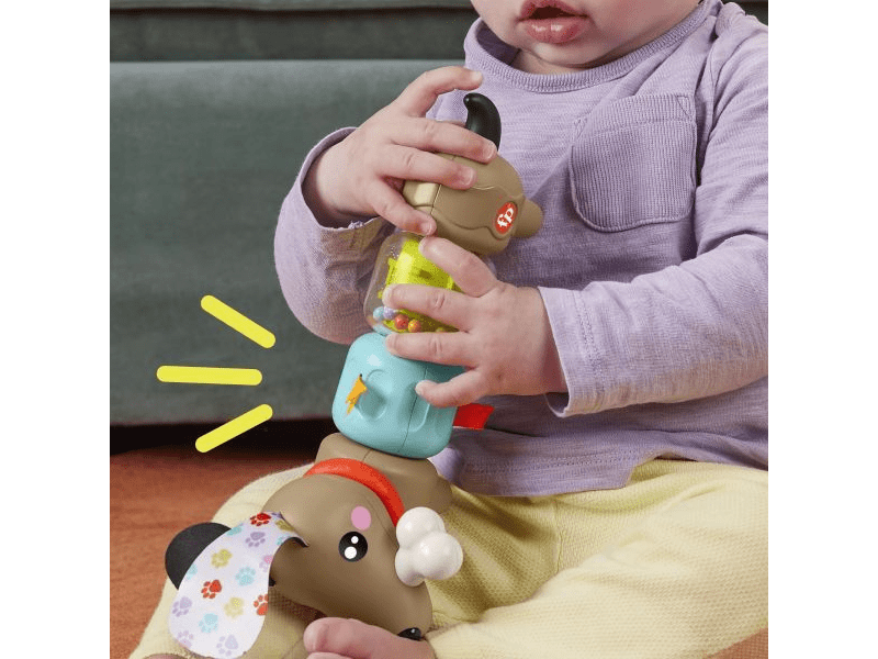 Fisher-Price: Kis kedvencek foglalkoztató - Tacsi (HTW91)