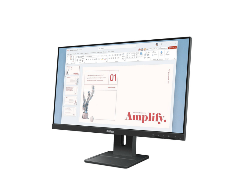 Lenovo ThinkVision E24-40 23,8