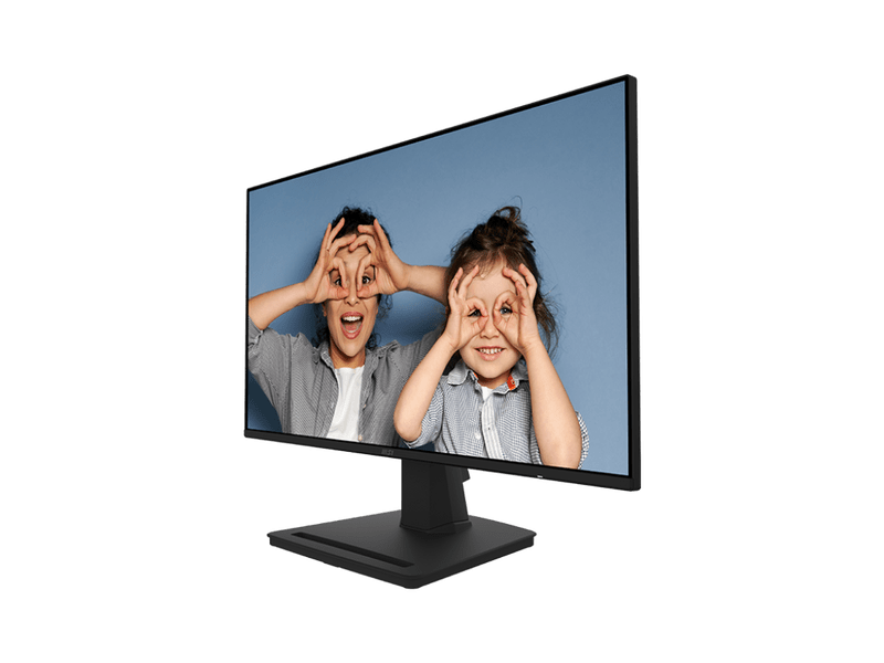 MSI PRO MP252 FHD IPS Monitor