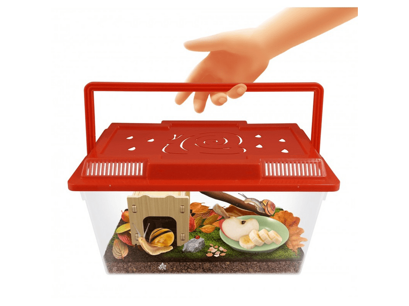 Buki Csiga megfigyelő terrárium (BL035)