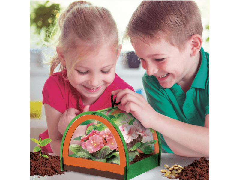 Zseni vagyok - Az én üvegházam