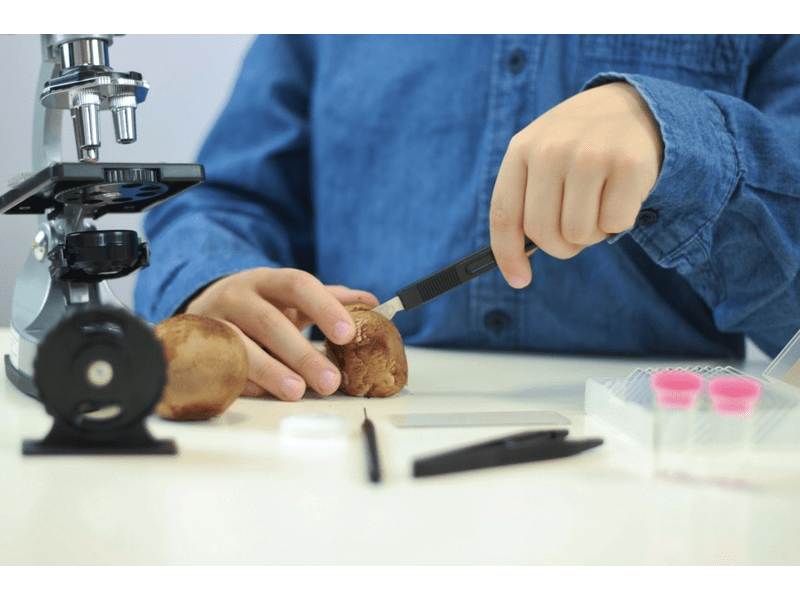 Buki MS907B Mikroszkóp, 30 kísérlettel