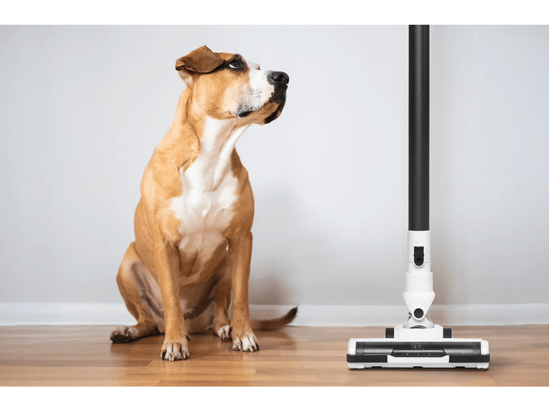 Ufesa Artica vezeték nélküli álló porszívó