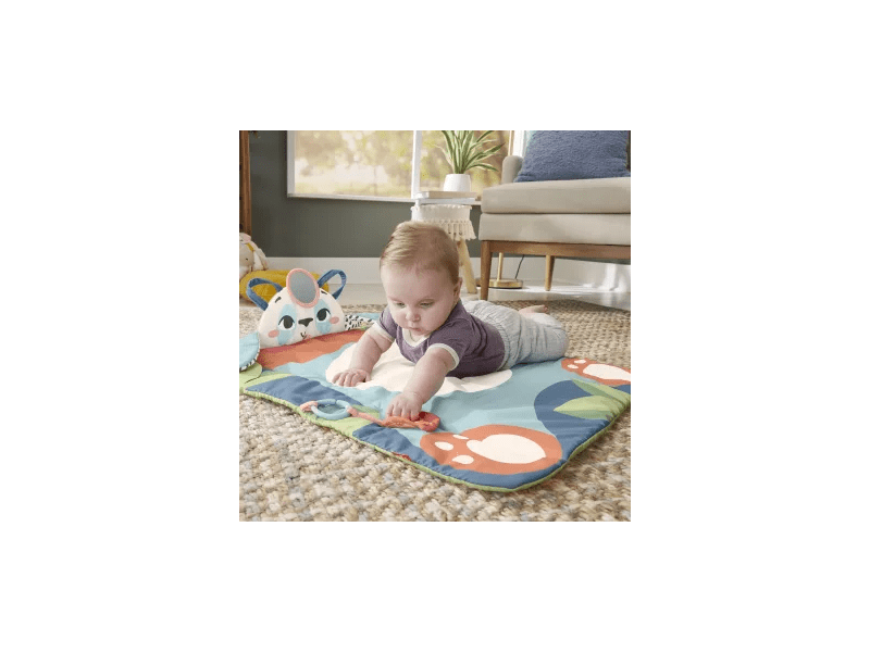 Fisher-Price: Podloga za igru Panda Mattress Roll-Up (HKD65)