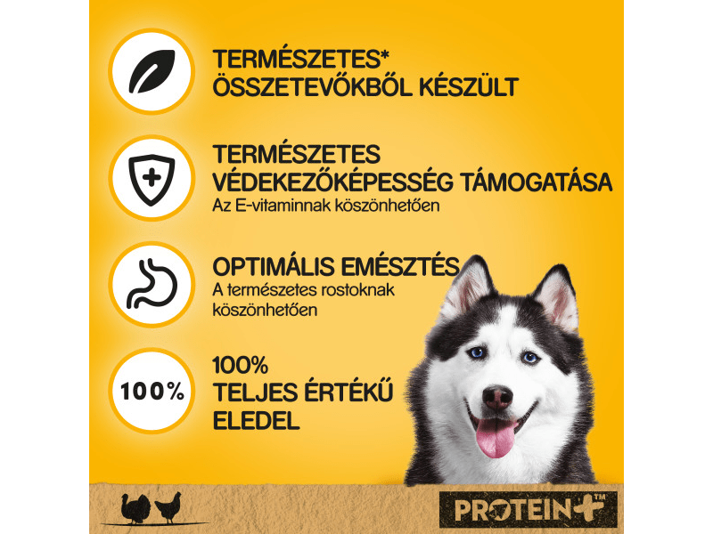 Pedigree kutya konzerv eledel pulykával és csirkével felnőtt kutyák számára, 800 g (437501)