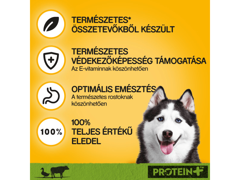 Pedigree kutya konzerv eledel kacsával és marhával felnőtt kutyák számára, 800 g (437496)