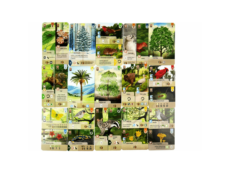 Az erdő: Felfedezés kiegészítő (ASM34738)