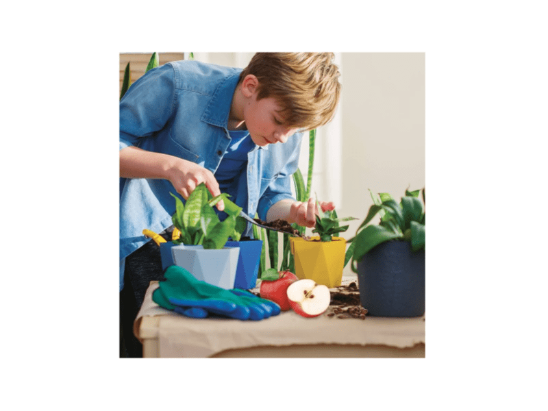 Zseni vagyok - Az én üvegházam