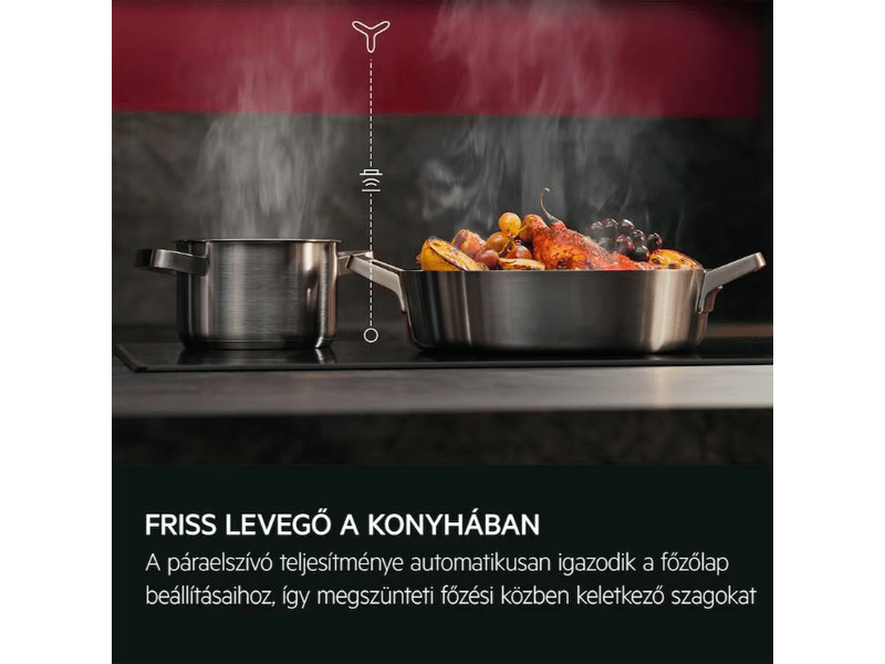 AEG GDP866PB Teleszkópos páraelszívó