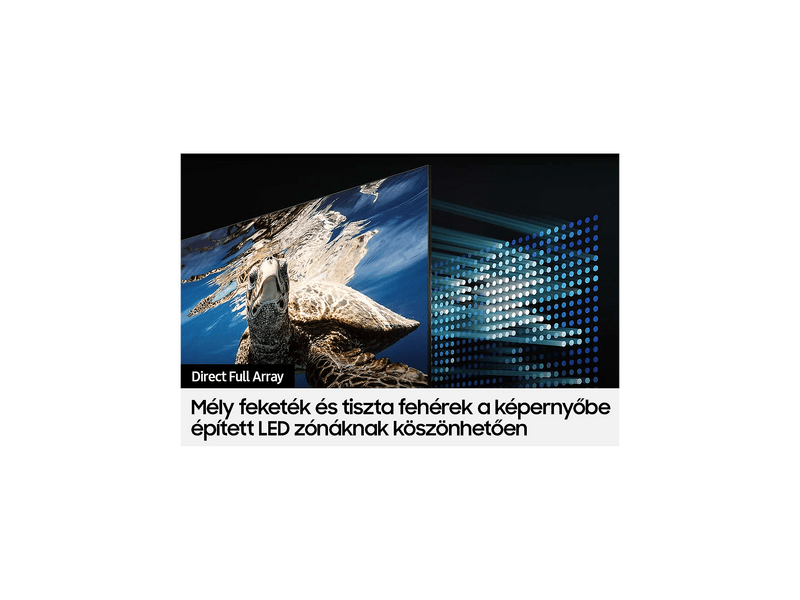 Samsung QE65Q80BATXXH 65