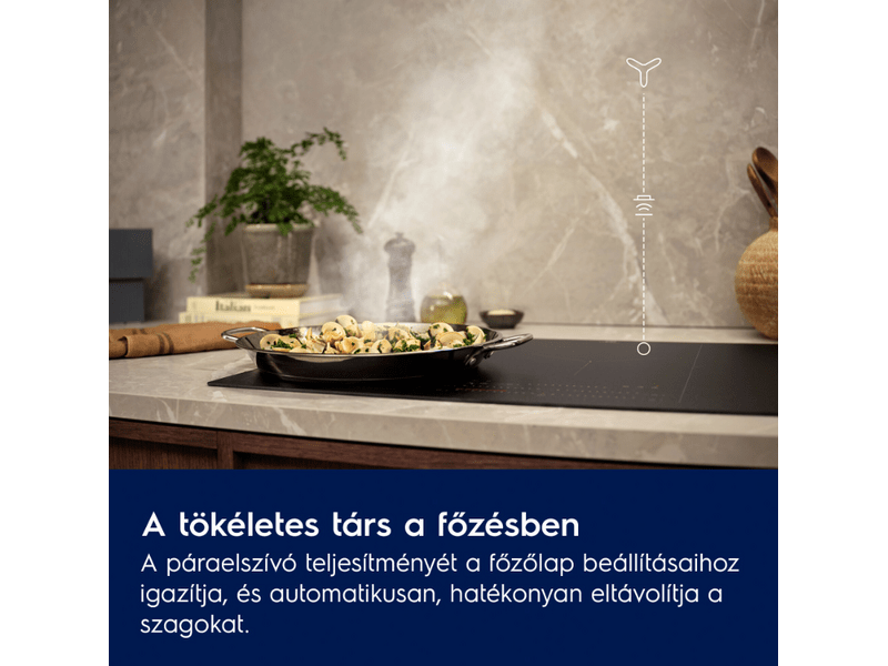 Electrolux LFG719R Rejtett páraelszívó