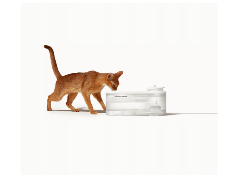 Mova Water Fountain WF10 Pro kisállat itató (PWB20A)