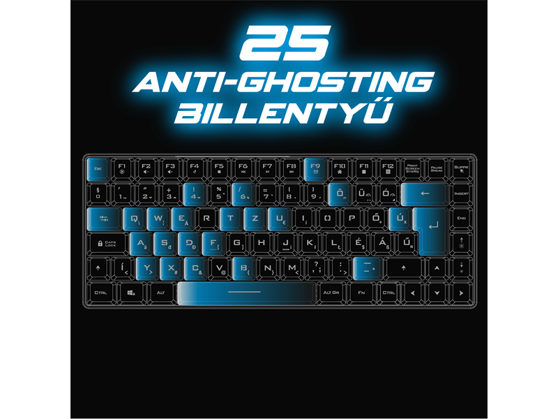 Spirit of Gamer ELITE K70 Gaming Billentyűzet, fekete