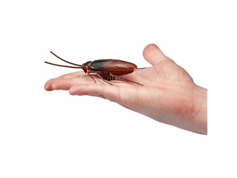 Robo Alive - csótány (ROB 7112)