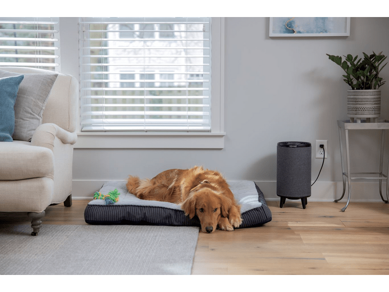 Bissell Myair HUB Légtisztító, Fekete