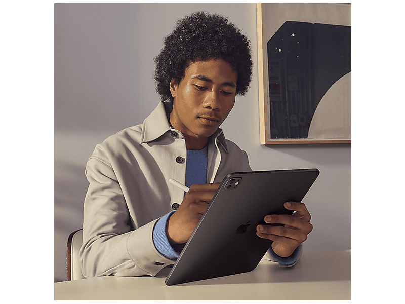 Apple iPad Pro 11" Cellular 256 GB (2024), crni (mvw13hc/a)