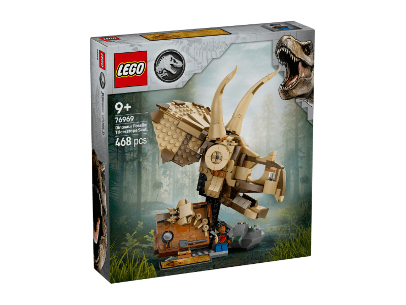 LEGO 76969