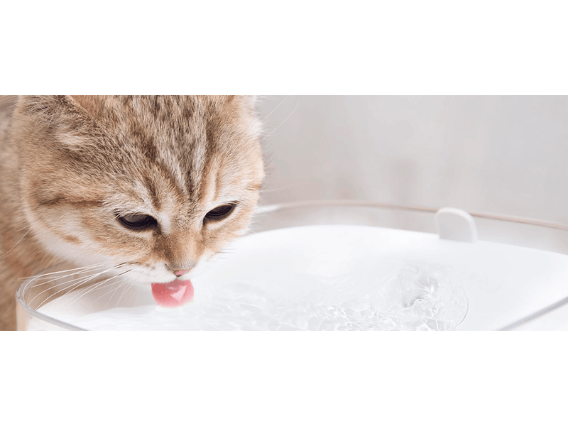Xiaomi BHR6161EU Smart Pet Fountain Intelligens kisállat szökőkút