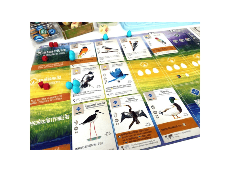 Fesztáv - társasjáték madárrajongóknak